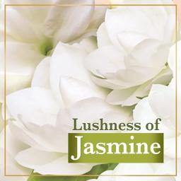 LUX Soft Glow|Buy 4 Get 1 Free|Jasmine & Vitamin E Bathing Soap|Velvet Glowing | Beauty Soaps| 150 g