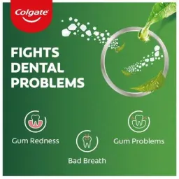 Colgate Salt Neem Toothpaste, 200 g