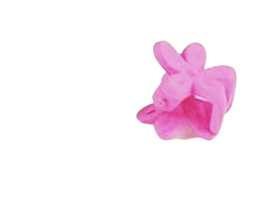 Girls Mini Hair Clips
