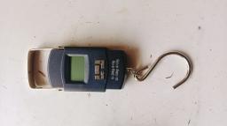 Portable scale 50kg