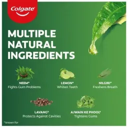 Colgate Salt Neem Toothpaste, 200 g